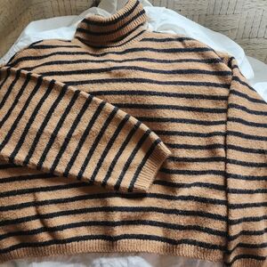 Striped Tan and Black Turtleneck Sweater